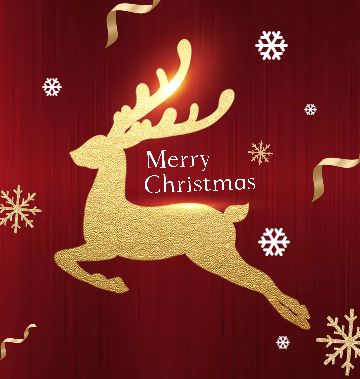 Merry Christmas & Happy New Year